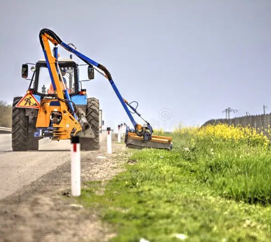 Standard Trees Gallery